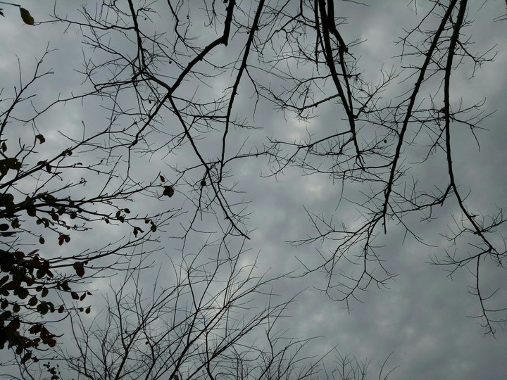 sky190209