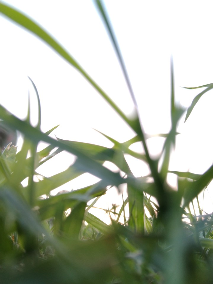 Unfocused