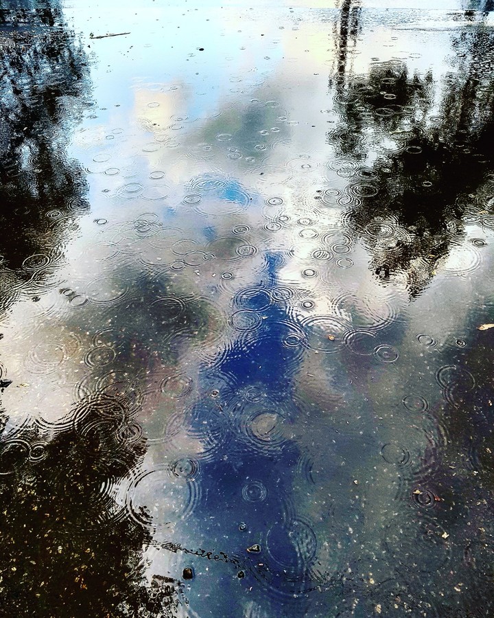 reflection