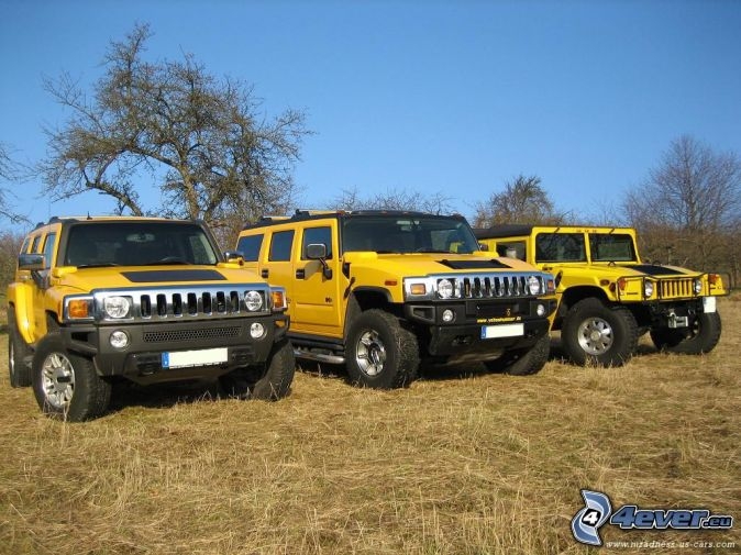 hummers 2