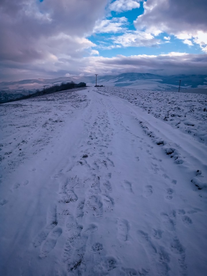 Winter path