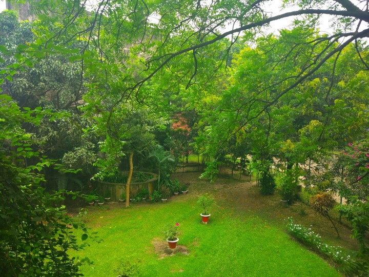 University