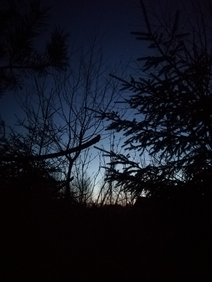 Let's sleep under the star
