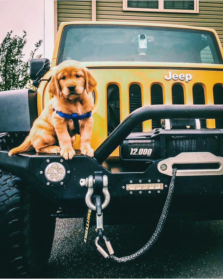 Jeep