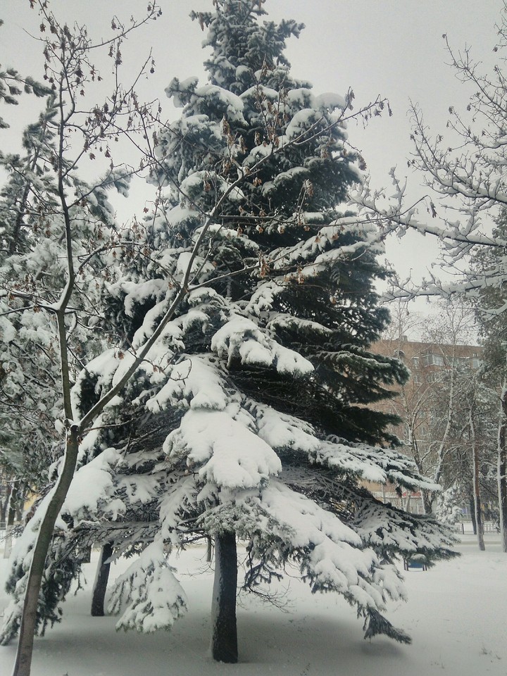 зима