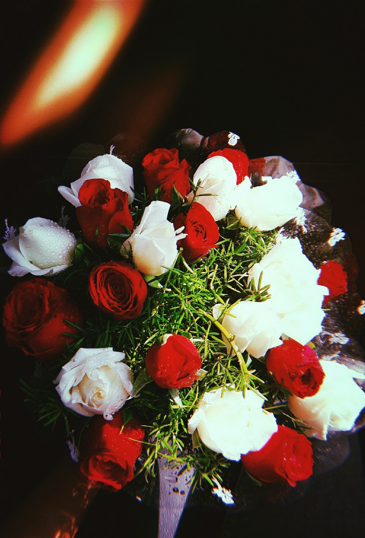Roses