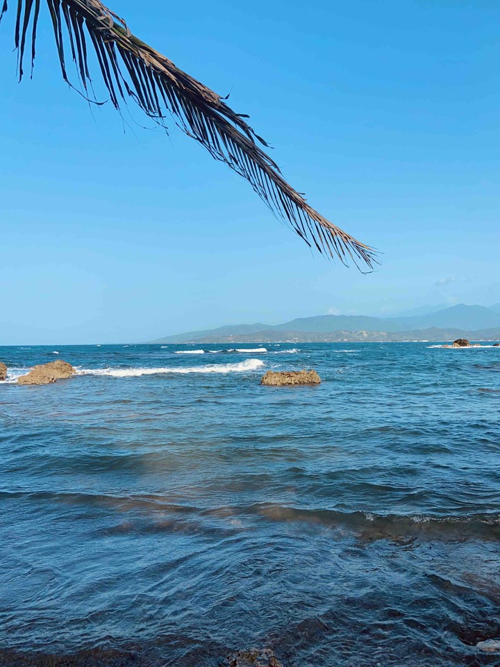 Seas the day!