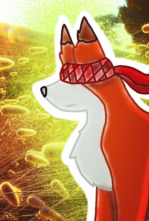 fox drawing
