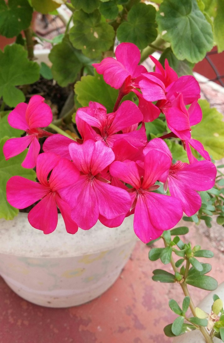 summer
