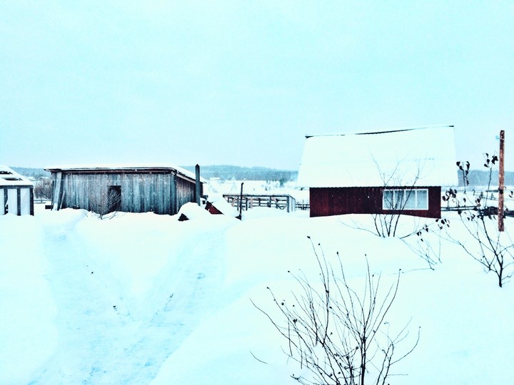 winter