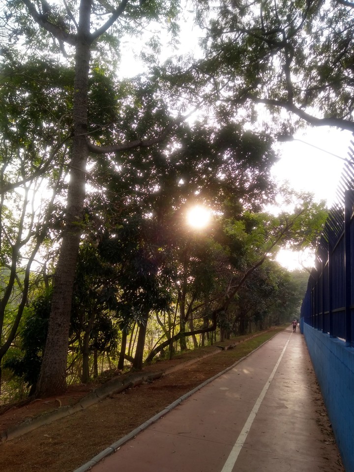 Caminhos