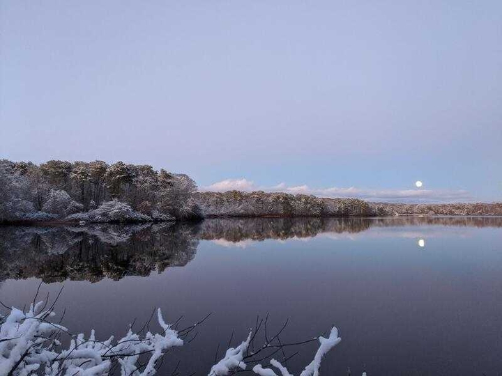 Moon