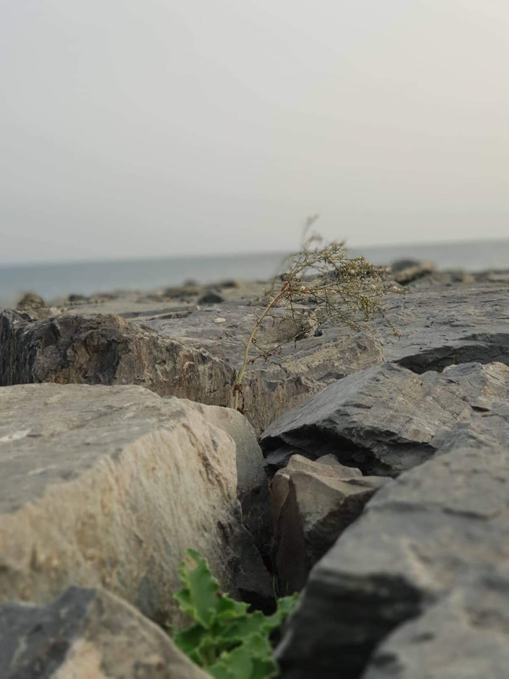 Marmara Deniz