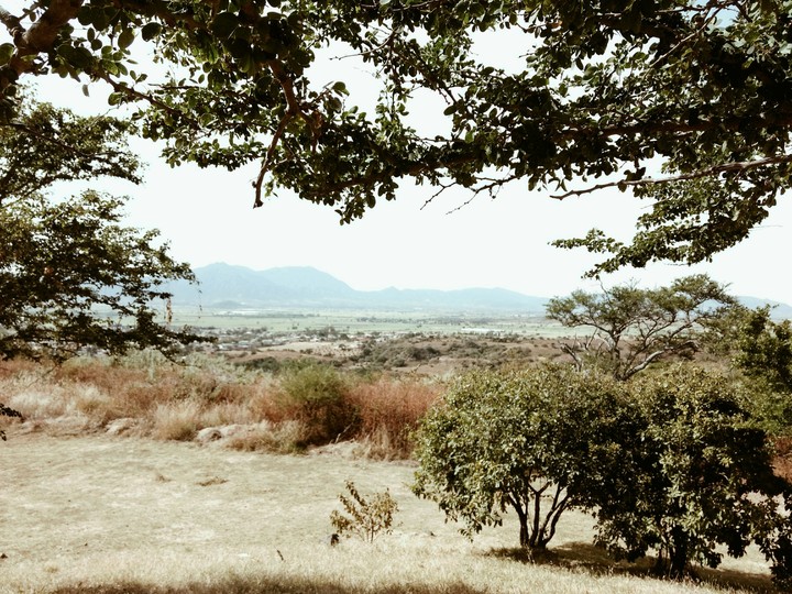Guachimontones