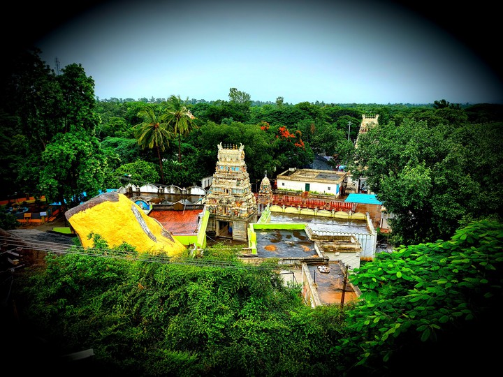 golden tirupati