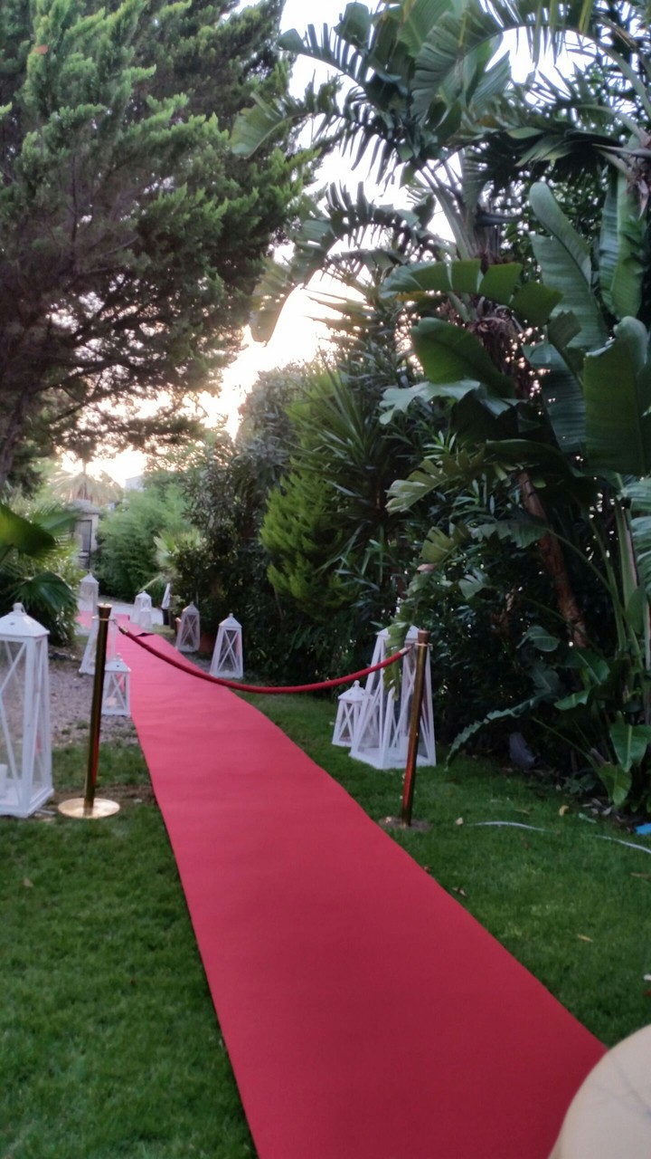 Red carpet