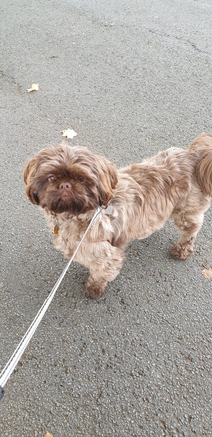 do we have to stand in the road coco?