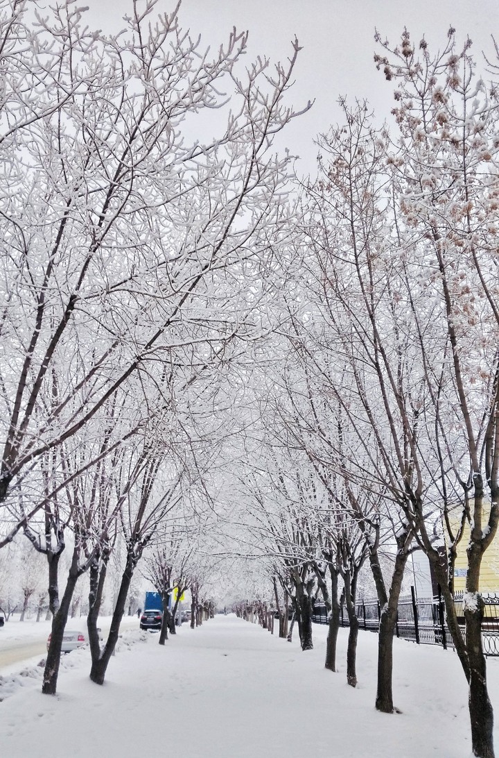 winter