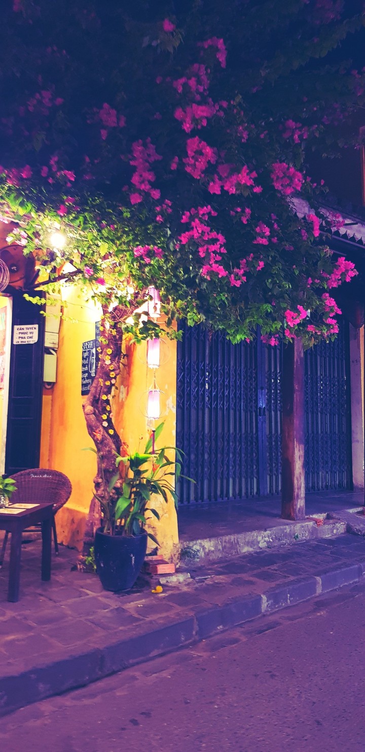 Night in Hoi An city