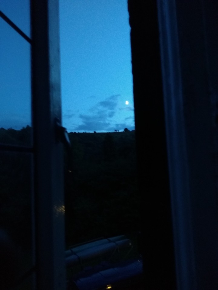 window by the moonlight