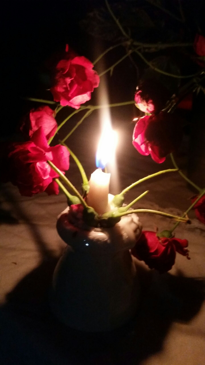 vela-rosa