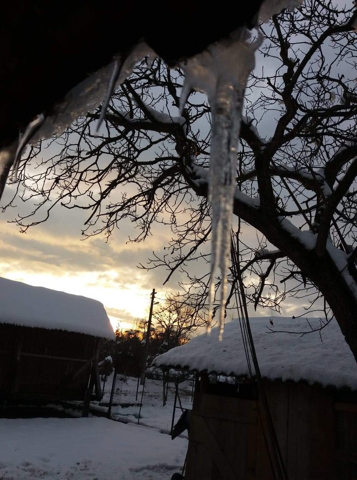 Ice