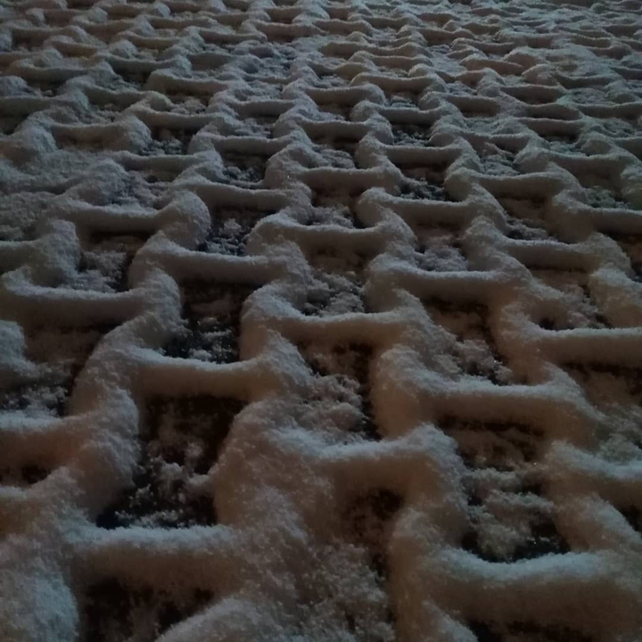 snow