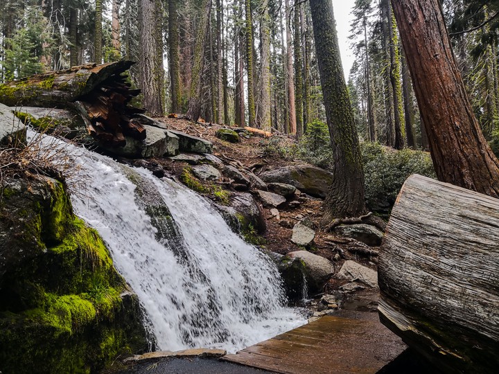 Sequoia National Park, USA