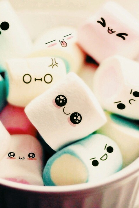 너무귀여워♡*☆.