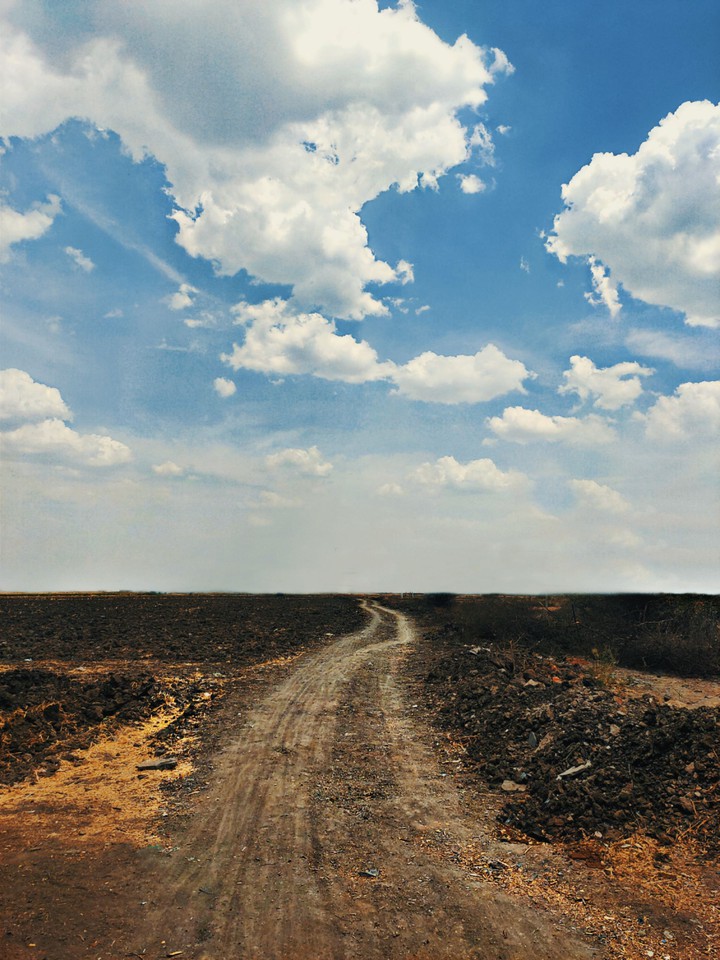 The road not taken