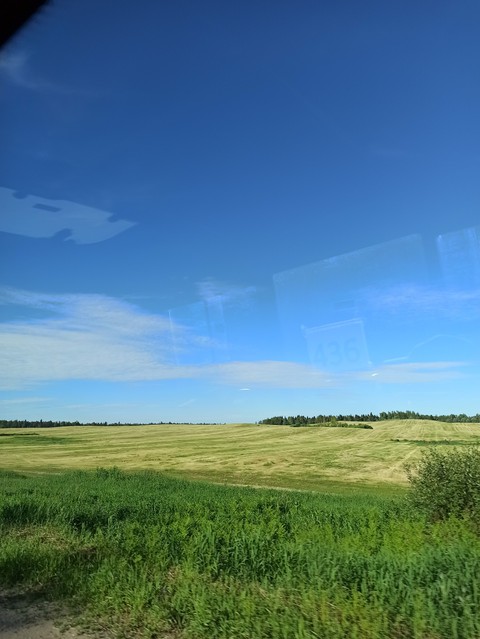 summer