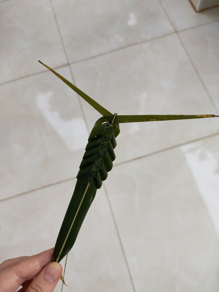 Green grasshopper