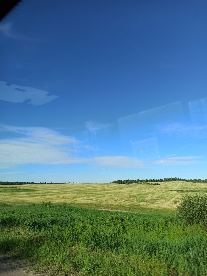 summer