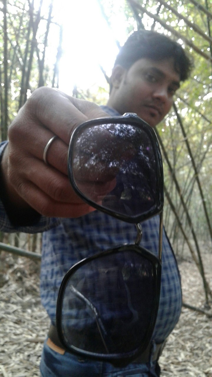 sunglass