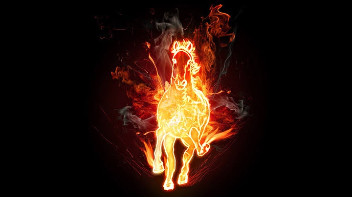 Horse