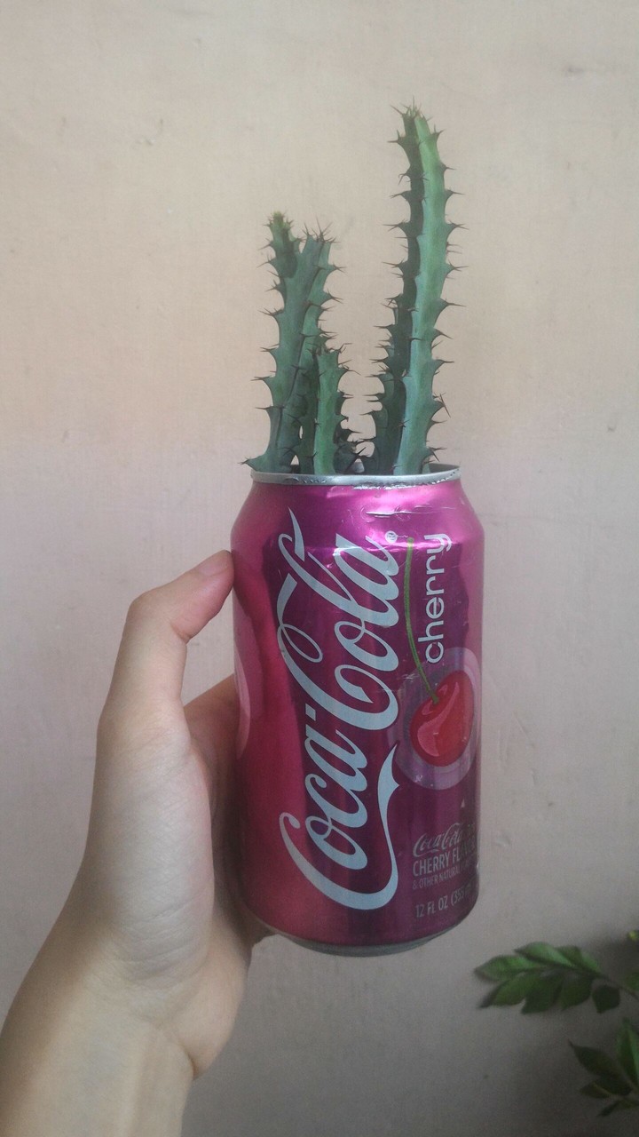 coke ko to!