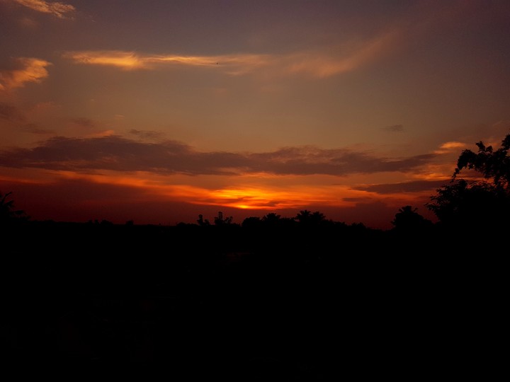 evening