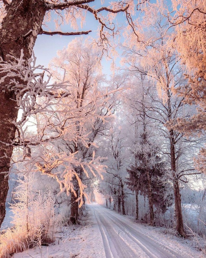 snowy road