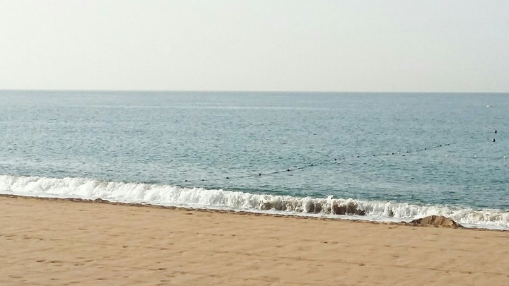 Waves