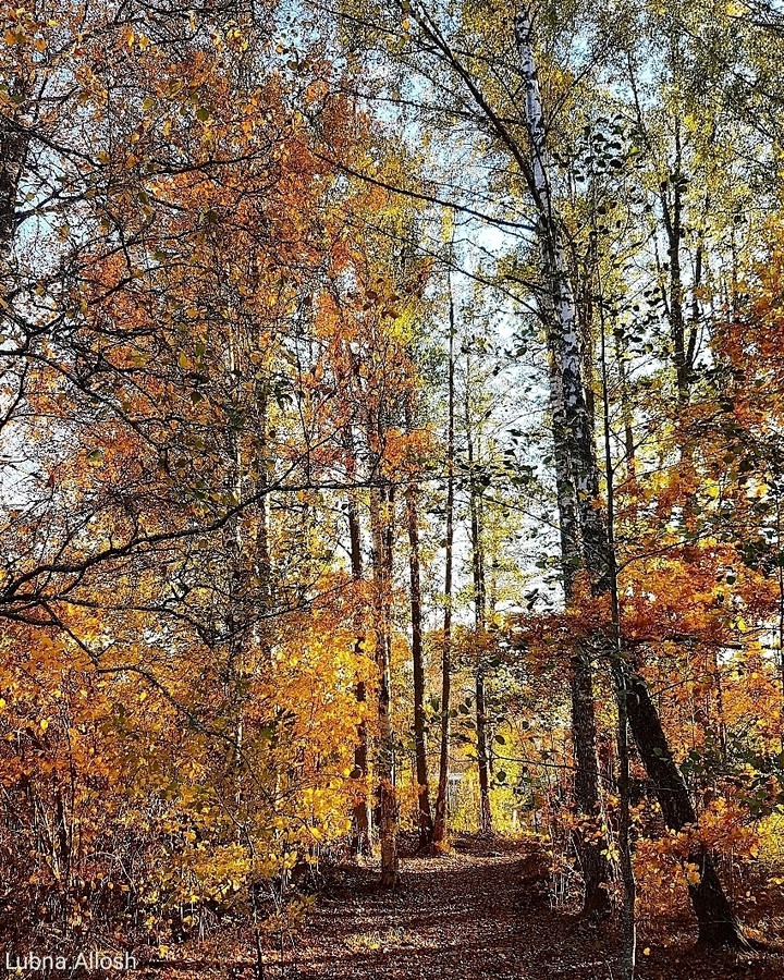 Autumn