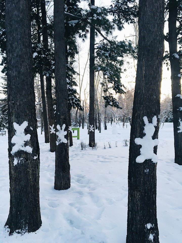 winter