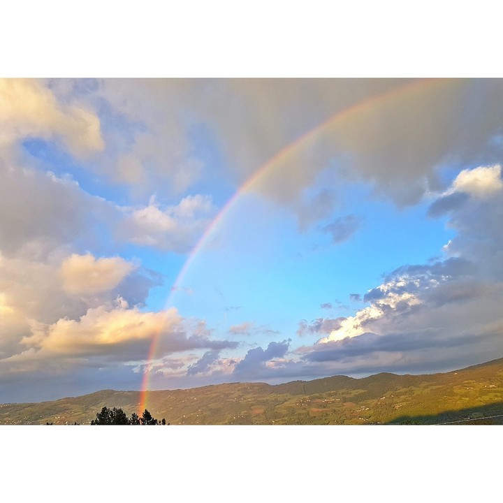 rainbow