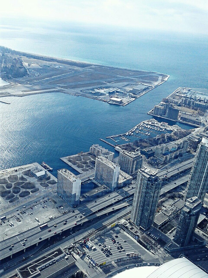Birds eye