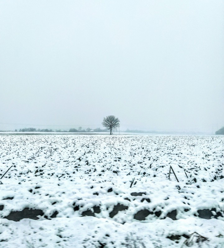 Winter beauty