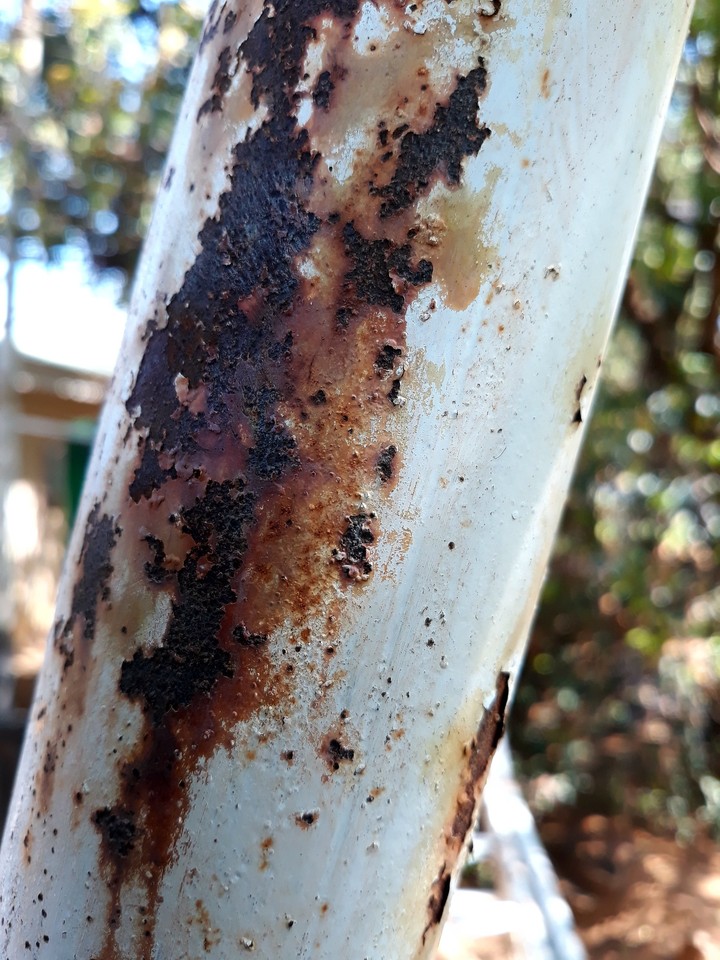 rust