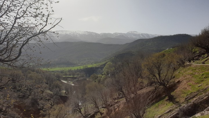 Iran is my beautiful country