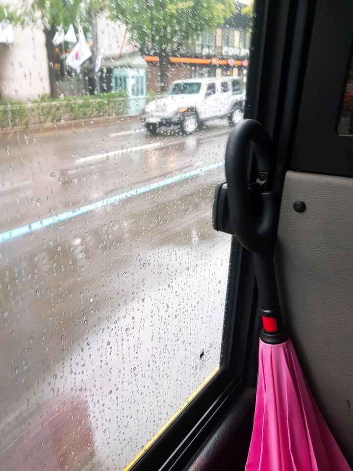 umbrella