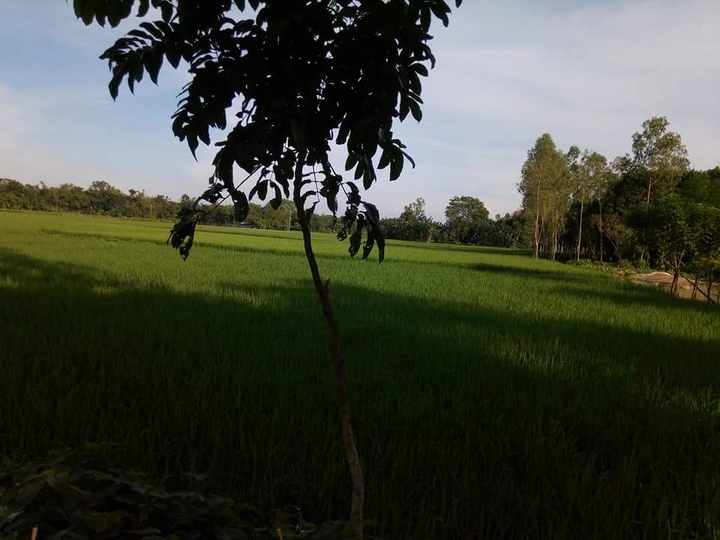 village picture