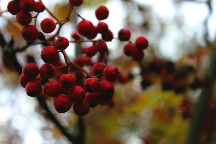color