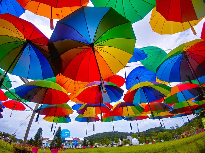 Umbrellas